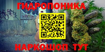 PSILOCYBIN Анапа