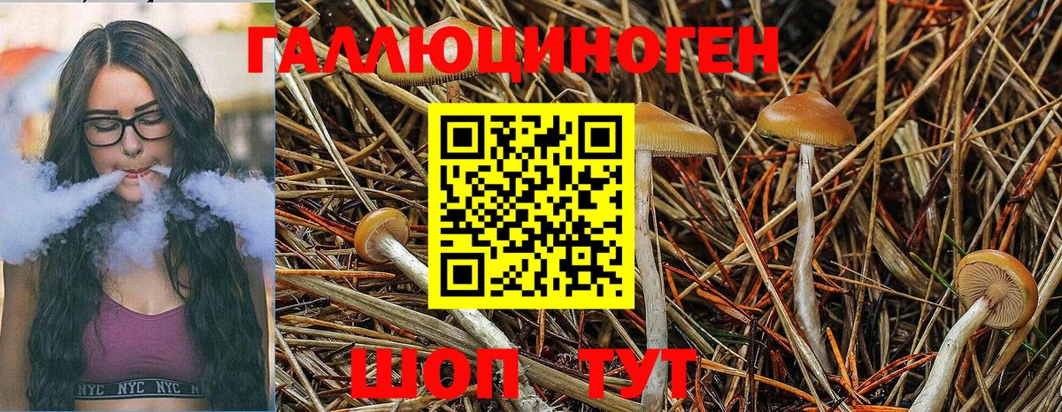 Псилоцибиновые грибы GOLDEN TEACHER Павловский Посад